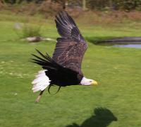 IMG_5732-11.jpg