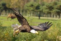 IMG_5759-11.jpg