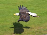 IMG_5768-11.jpg