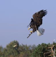 IMG_5784-11.jpg