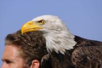 IMG_5807-11.jpg