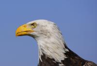 IMG_5828-11.jpg