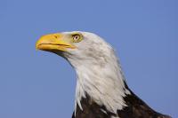 IMG_5829-11.jpg