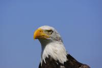 IMG_5831-11.jpg