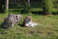 IMG_5902-11.jpg