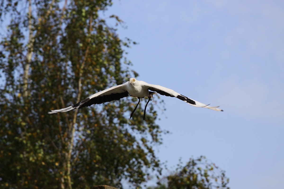 IMG_5990-11.jpg