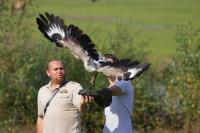 IMG_6135-11.jpg