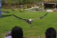 IMG_6140-11.jpg