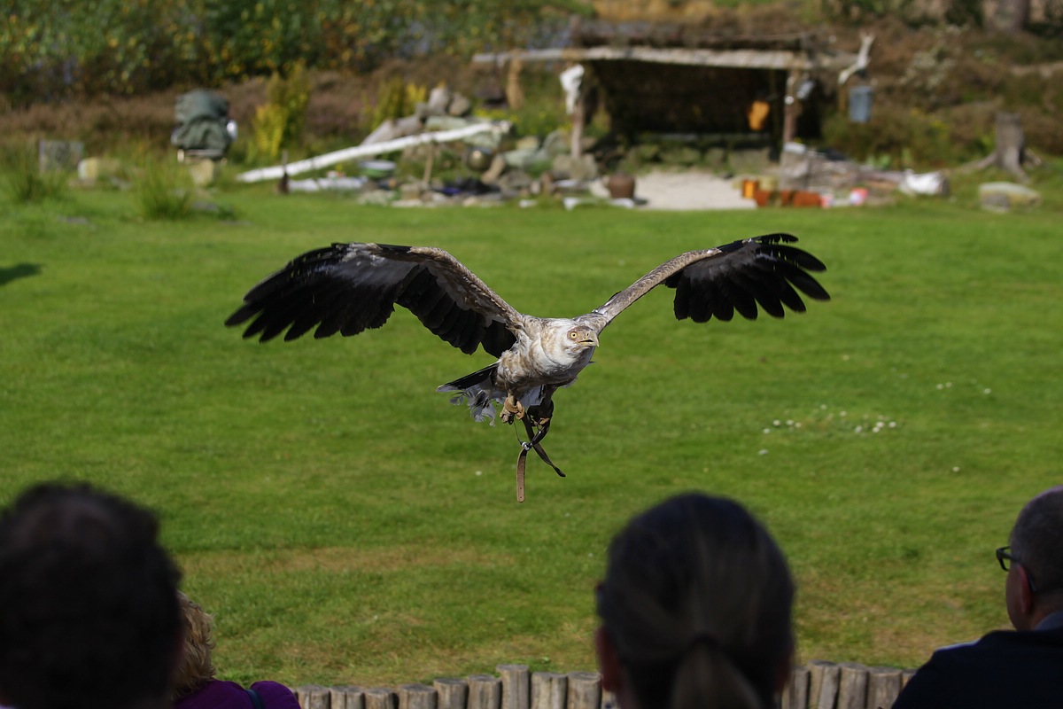 IMG_6141-11.jpg