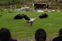 IMG_6141-11.jpg