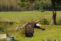 IMG_6194-11.jpg
