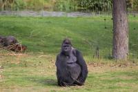 IMG_6359-11.jpg