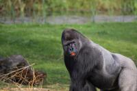IMG_6419-11.jpg