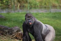 IMG_6423-11.jpg