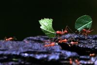 IMG_5269-1.jpg