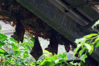 IMG_2782-1.jpg