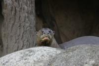 IMG_4080-11.jpg
