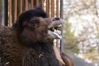 IMG_4154-11.jpg