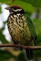 IMG_6171-1.jpg