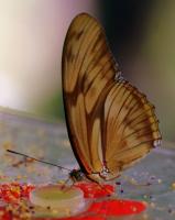IMG_9402-1.jpg