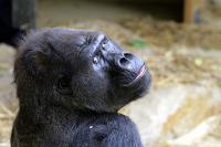 IMG_8085-1.jpg