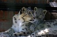 IMG_9168-1.jpg