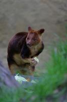IMG_4452-1.jpg