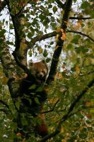 IMG_0546-1.jpg