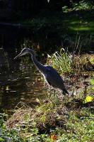 IMG_7960-1.jpg