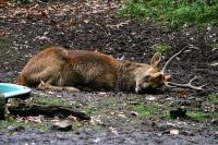 IMG_9115-1.jpg