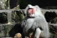 zoo01.jpg