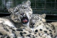 zoo40.jpg
