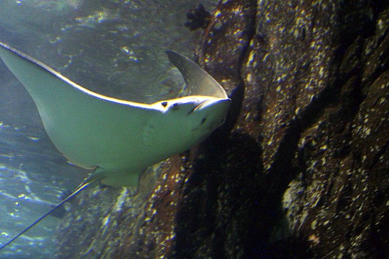 BurgersZooIMG_8246-1.jpg