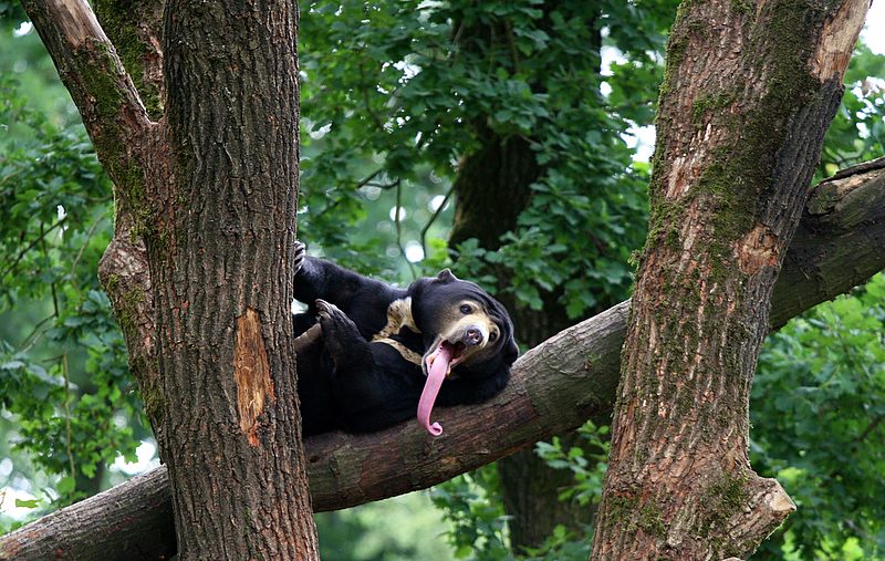 BurgersZooIMG_8313-1.jpg