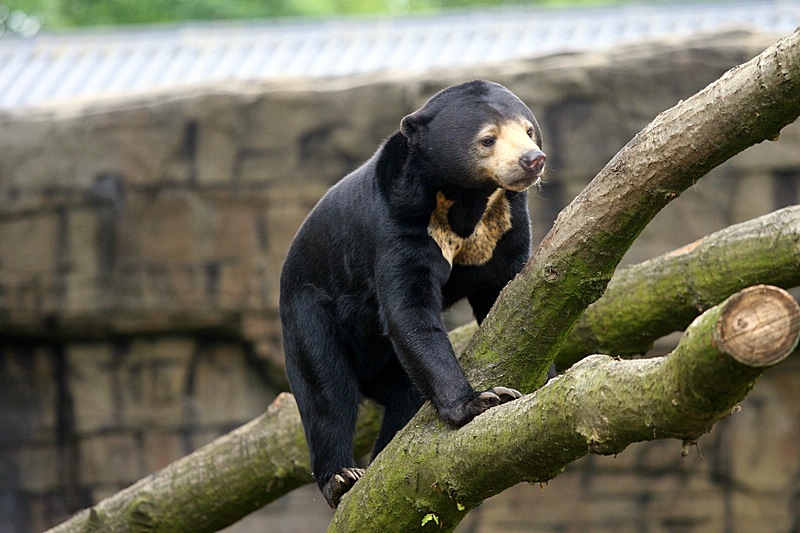 BurgersZooIMG_8321-1.jpg