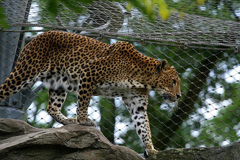 BurgersZooIMG_8334-1.jpg
