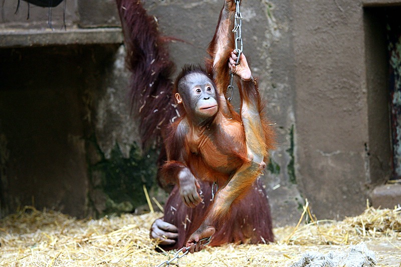 BurgersZooIMG_8344-1.jpg