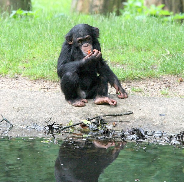 BurgersZooIMG_8406-1.jpg