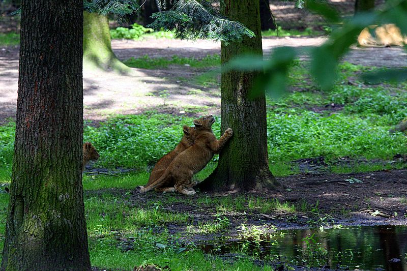 BurgersZooIMG_8511-1.jpg
