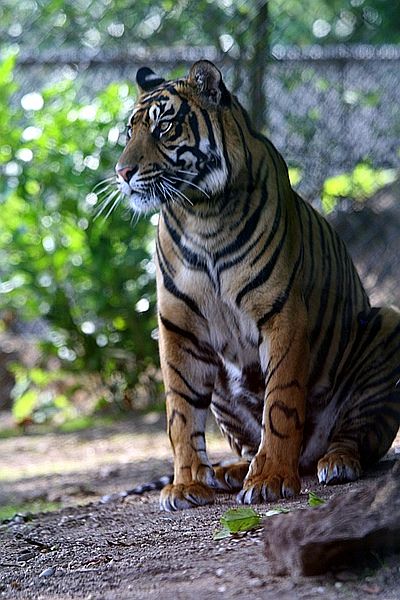 BurgersZooIMG_7980-1.jpg