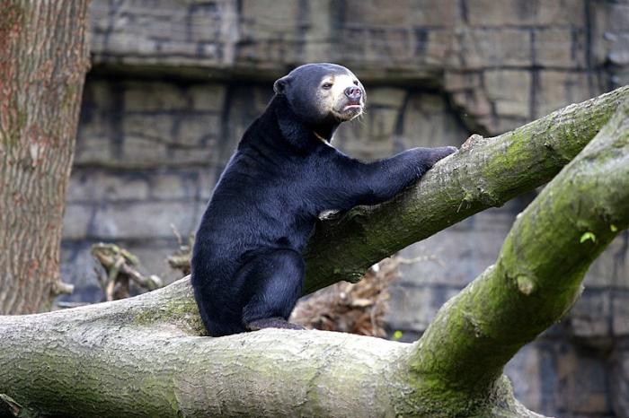BurgersZooIMG_8301-1.jpg