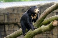 BurgersZooIMG_8321-1.jpg