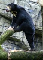 BurgersZooIMG_8323-1.jpg