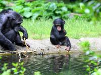 BurgersZooIMG_8392-1.jpg