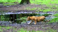 BurgersZooIMG_8460-1.jpg