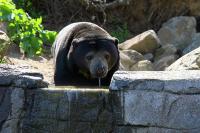 BurgersZooIMG_7955-1.jpg