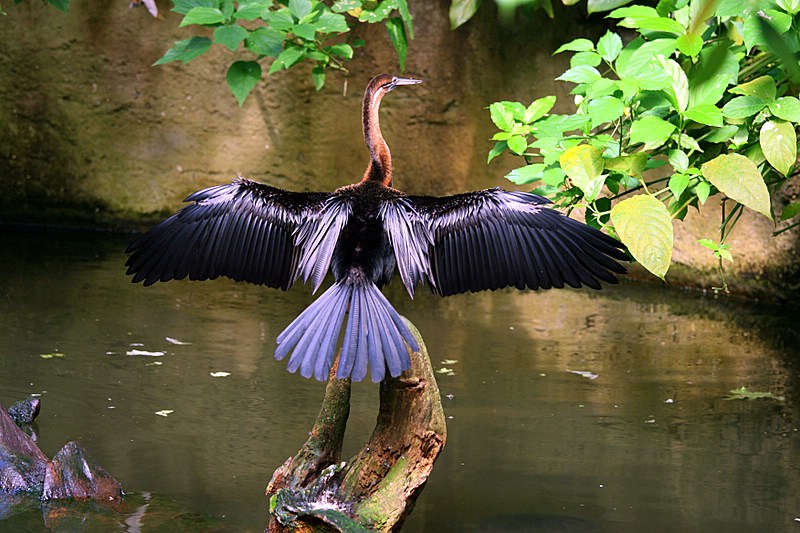 BurgersZooIMG_8003-1.jpg