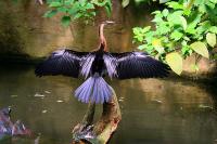BurgersZooIMG_8003-1.jpg