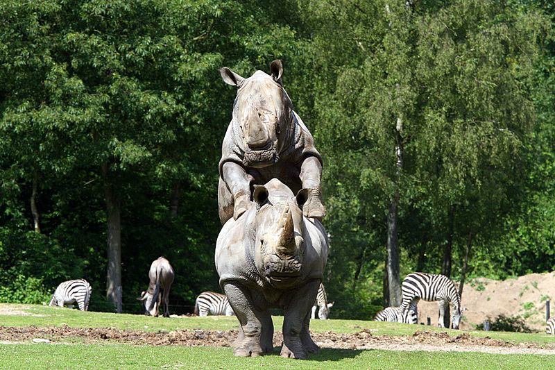 BurgersZooIMG_8035-1.jpg