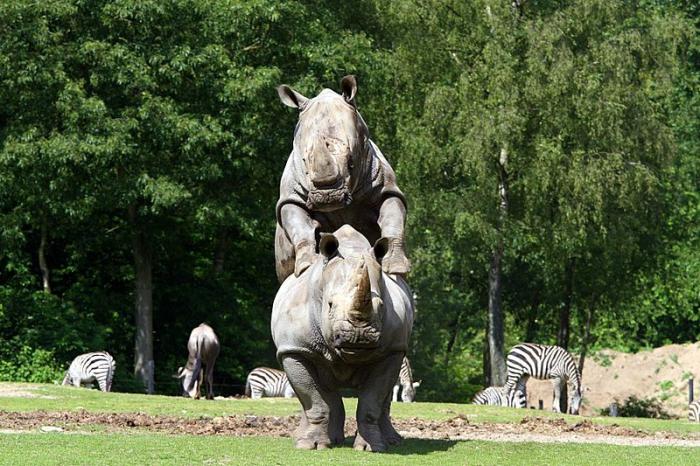 BurgersZooIMG_8035-1.jpg